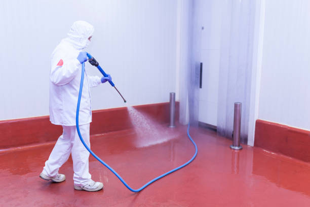 Best Dumpster Area Cleaning  in Breckinridge Center, KY